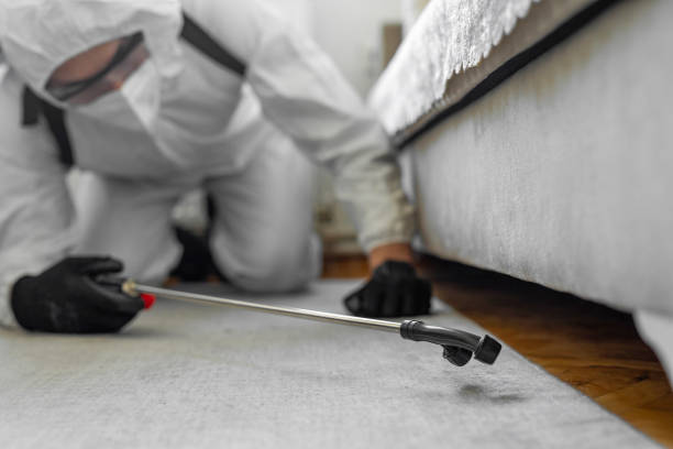 Professional Pest Control technician working in Lancaster County County, VA